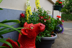 Garden Comp - 1