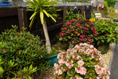 Garden Comp - 1