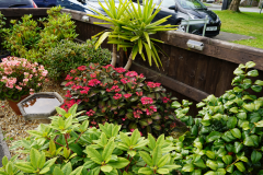 Garden Comp - 1