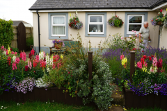 Garden Comp - 1